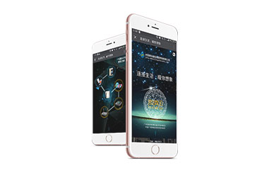 一網(wǎng)天行-網(wǎng)站建設|微信開發(fā)|小程序開發(fā)