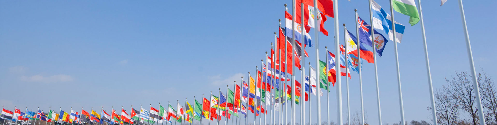 國(guó)際資料企業(yè)宣傳網(wǎng)站|一網(wǎng)天行-網(wǎng)站建設(shè)小程序APP系統(tǒng)軟件開(kāi)發(fā)公司