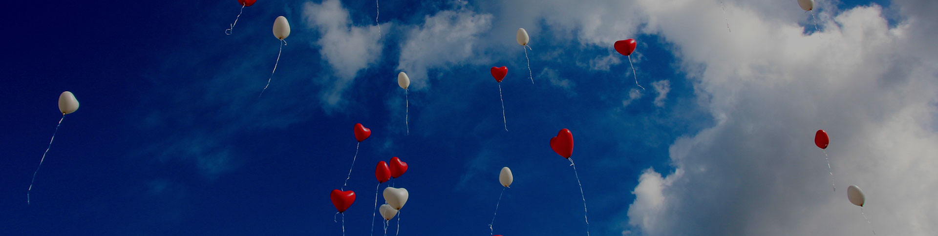 大眾籌-在線眾籌網(wǎng)站平臺(tái)|一網(wǎng)天行-網(wǎng)站建設(shè)小程序APP系統(tǒng)軟件開(kāi)發(fā)公司