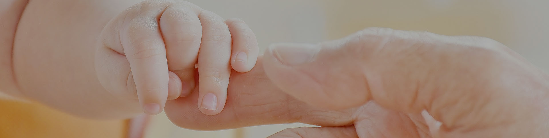 寶拾貳-兒童用品電商平臺|一網(wǎng)天行-網(wǎng)站建設小程序APP系統(tǒng)軟件開發(fā)公司