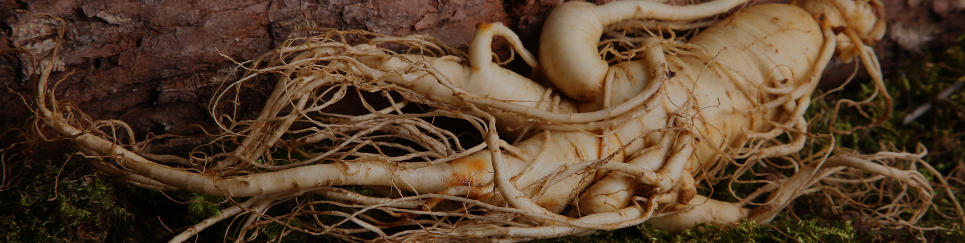 正德藥業(yè)-品牌營銷網(wǎng)站|一網(wǎng)天行-網(wǎng)站建設(shè)小程序APP系統(tǒng)軟件開發(fā)公司