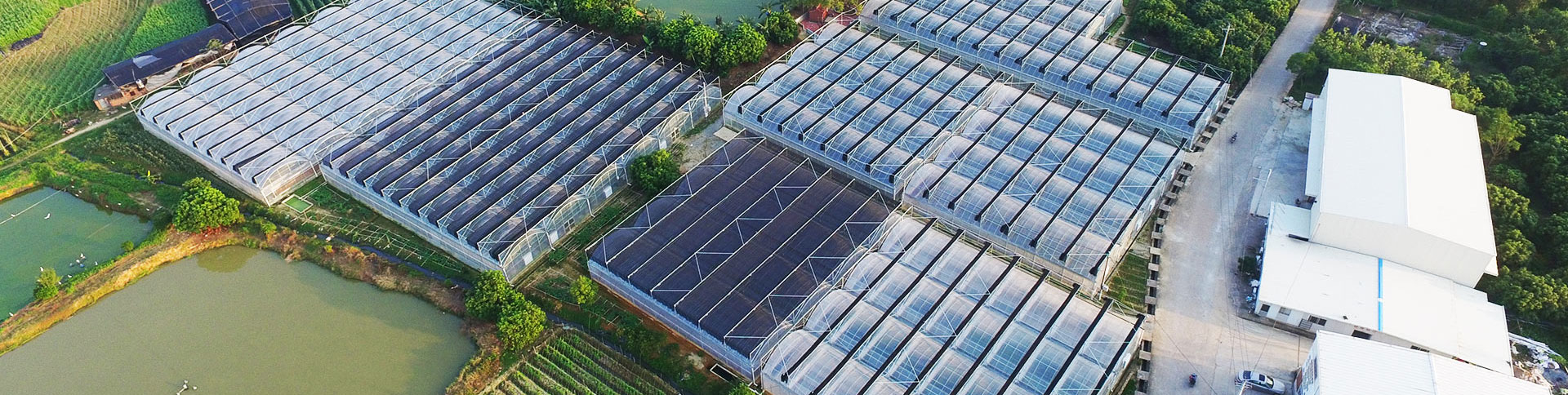 健康產(chǎn)業(yè)集團公司品牌宣傳網(wǎng)站|一網(wǎng)天行-網(wǎng)站建設小程序APP系統(tǒng)軟件開發(fā)公司